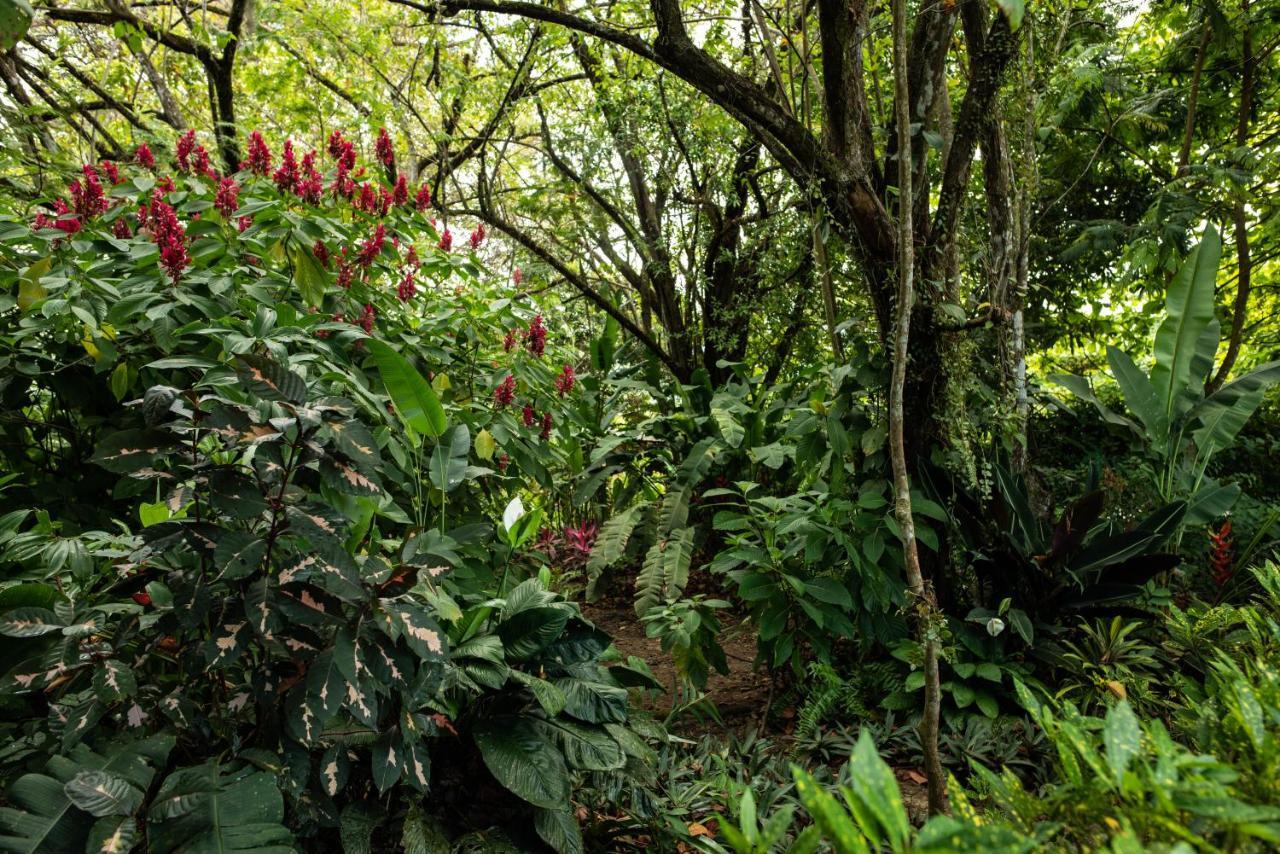 Las Brisas Del Sur Ojochal Exterior photo
