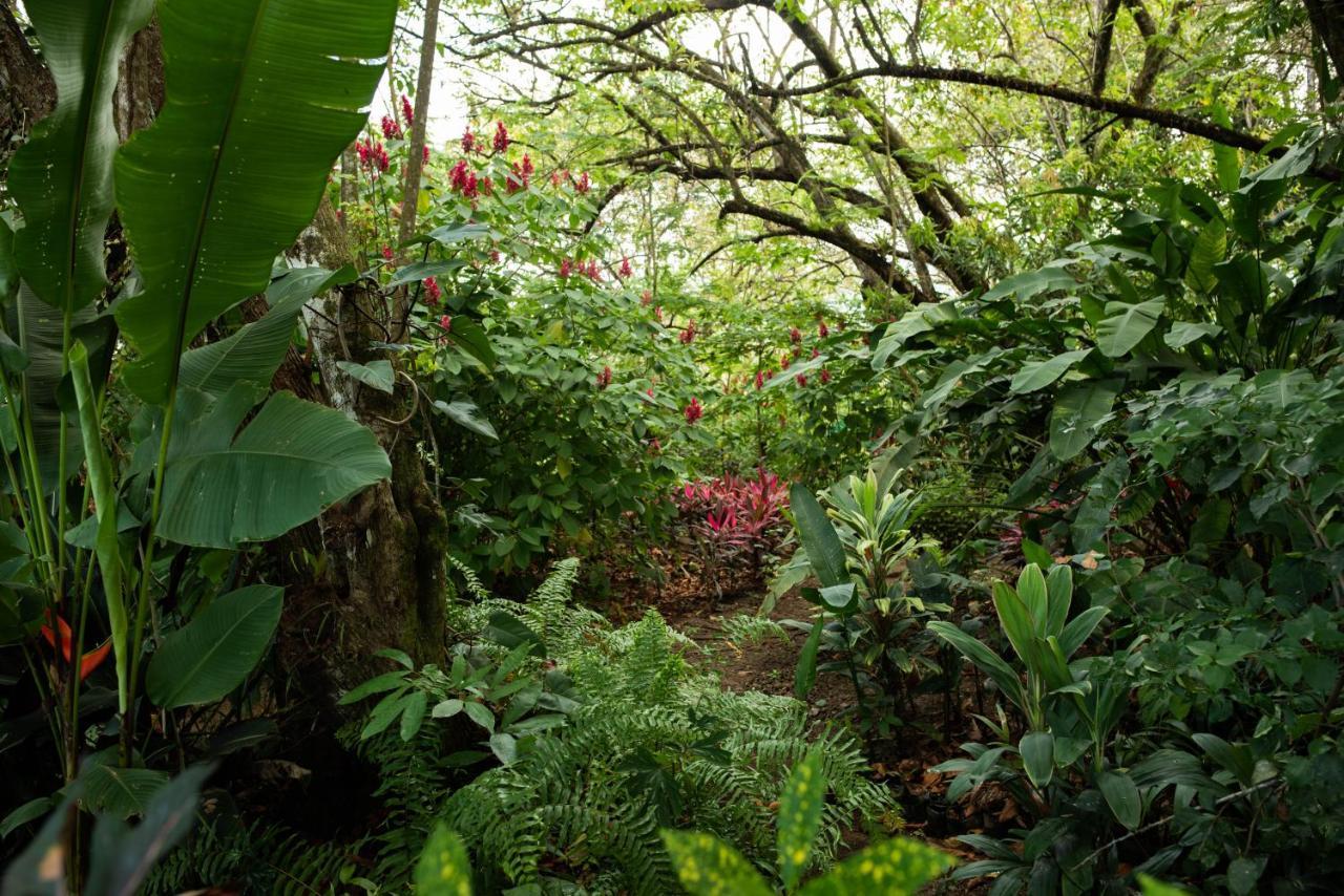 Las Brisas Del Sur Ojochal Exterior photo