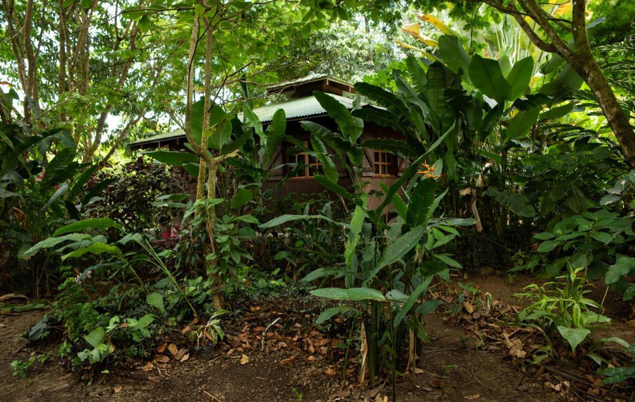 Las Brisas Del Sur Ojochal Exterior photo